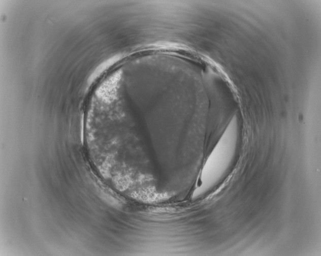 X0000085321171200704092341