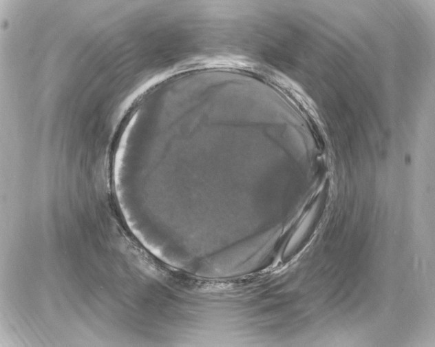 X0000085321174200704092341