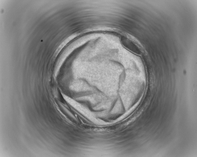 X0000085321177200704092341
