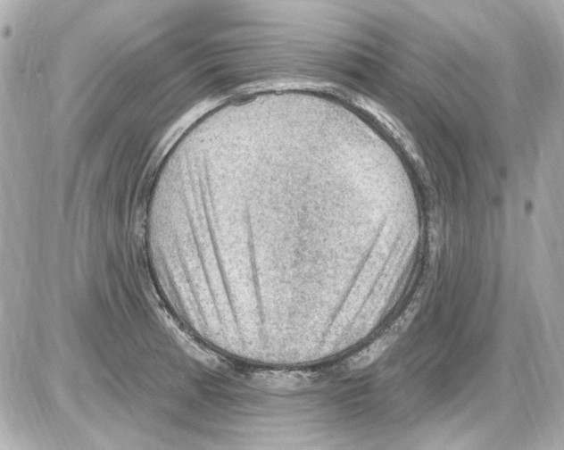X0000085321185200704092341