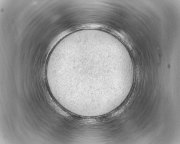 X0000085321186200704092341