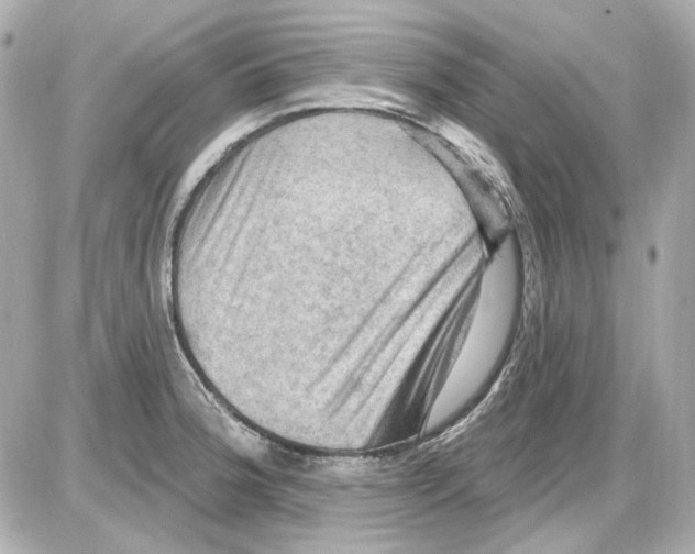 X0000085321188200704092341