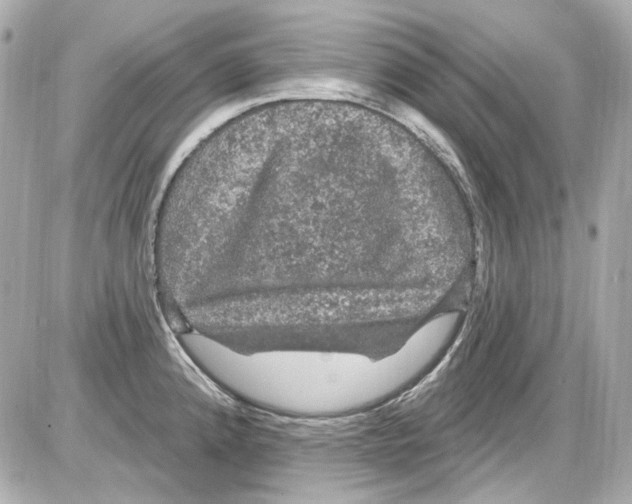 X0000085321192200704092341