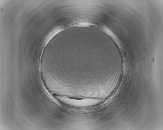 X0000085321194200704092341