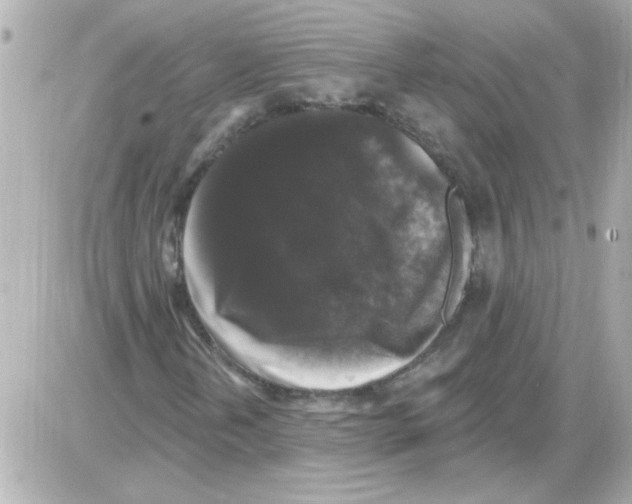 X0000085321202200704092340