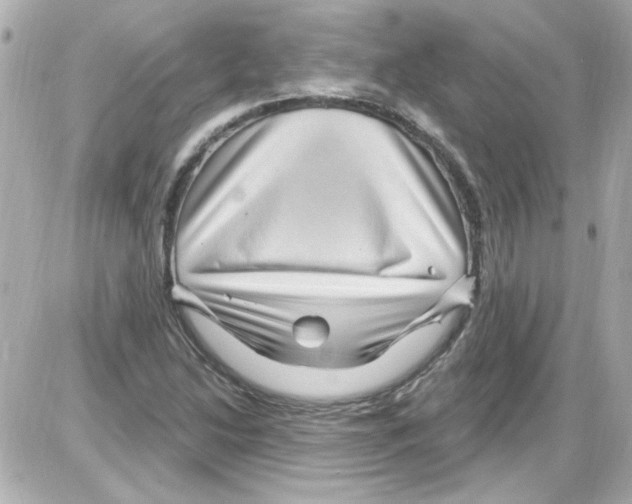 X0000085321214200704092340