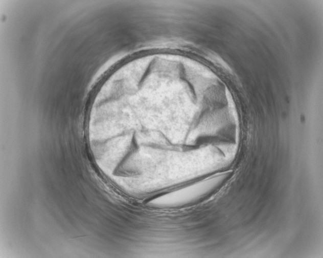 X0000085321216200704092340