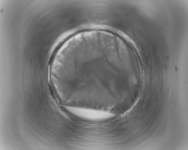 X0000085321223200704092340