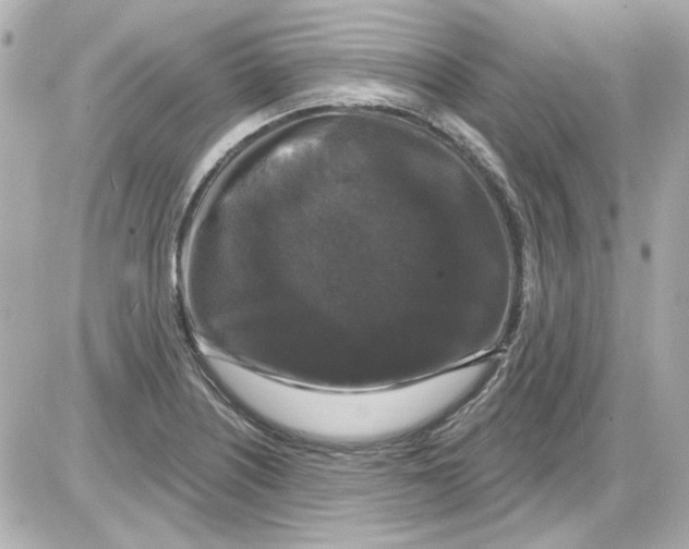 X0000085321226200704092340