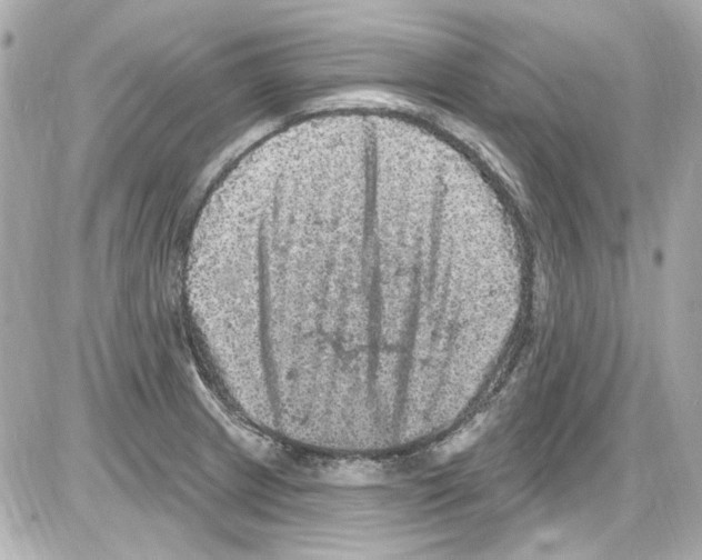 X0000085321233200704092340