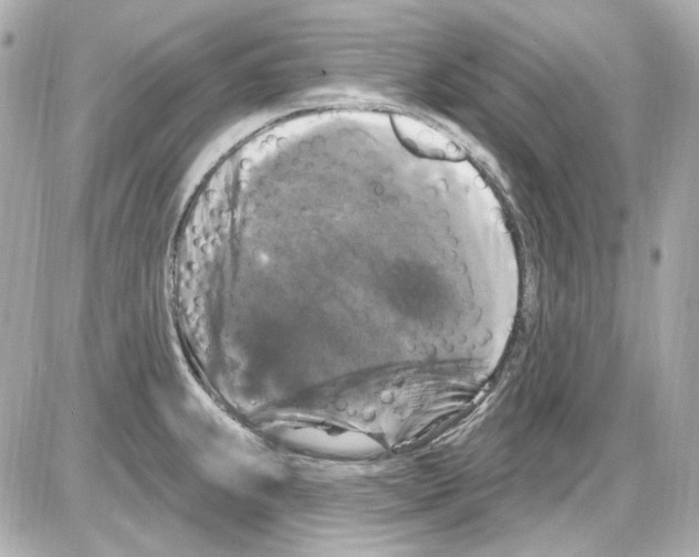 X0000085321239200704092340