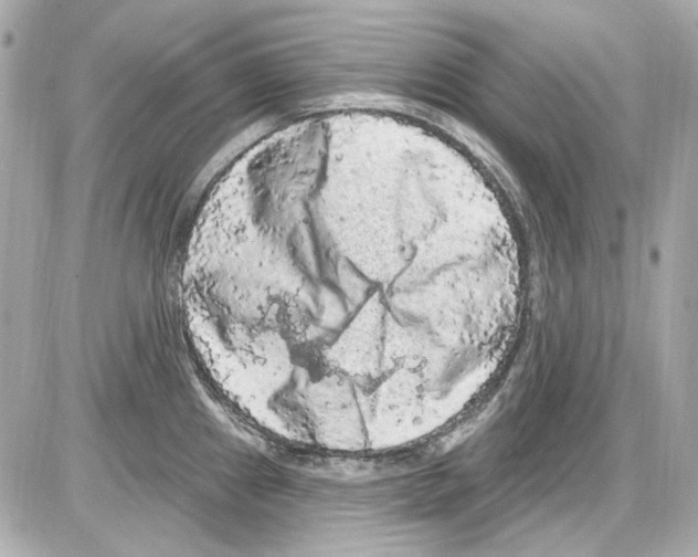 X0000085321241200704092340
