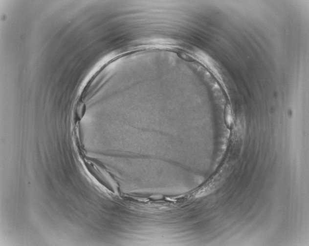 X0000085321243200704092340