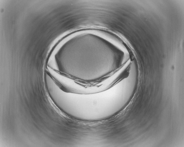 X0000085321246200704092340