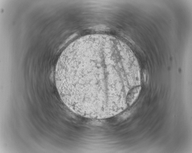 X0000085321251200704092340