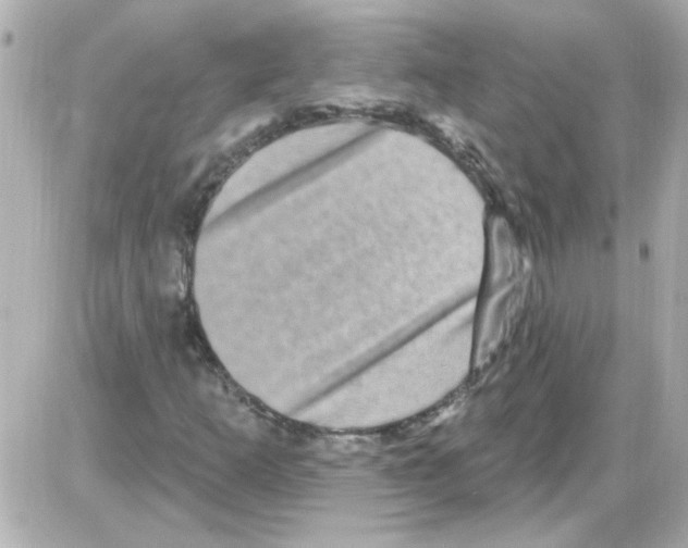 X0000085321253200704092340