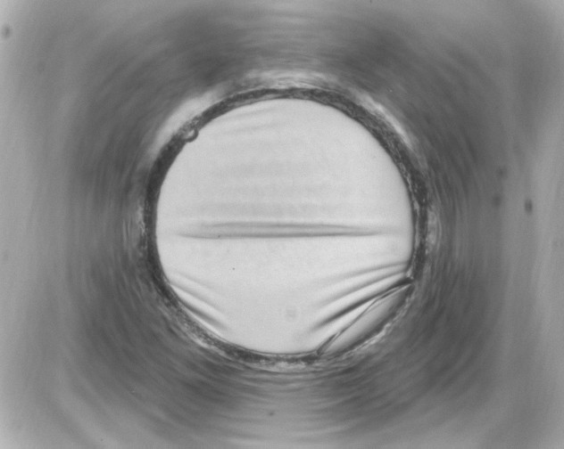 X0000085321261200704092340