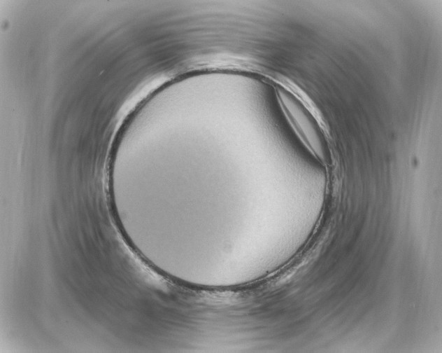 X0000085321285200704092339