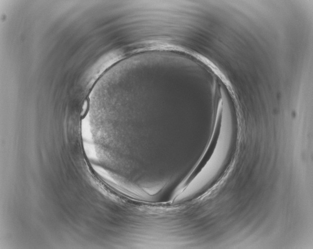 X0000085321289200704092339