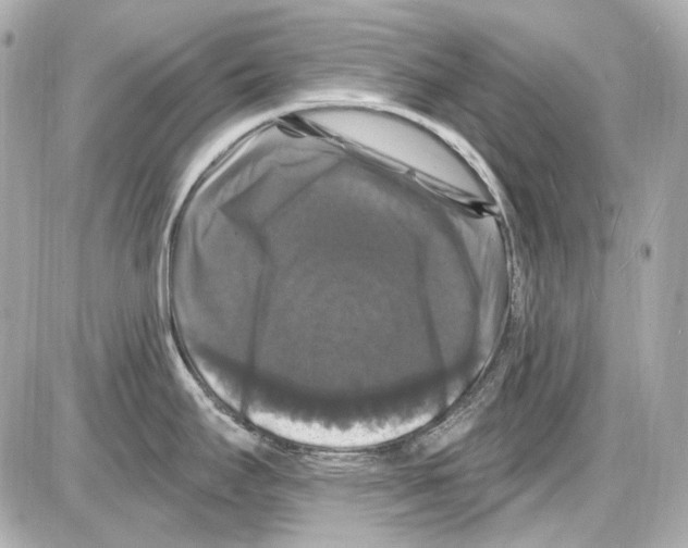 X0000085321295200704092339