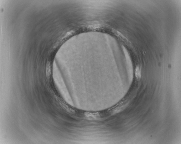 X0000085321299200704092338
