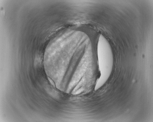 X0000085321300200704092338