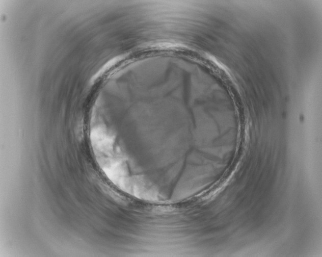 X0000085321306200704092338