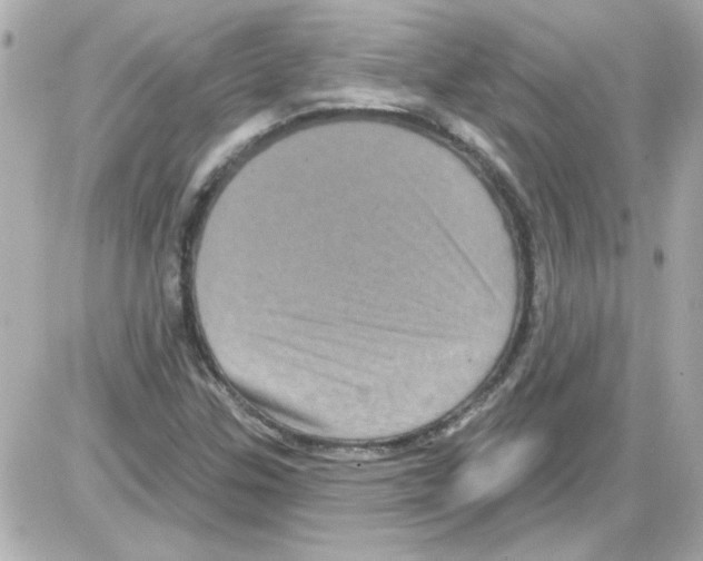 X0000085321307200704092338