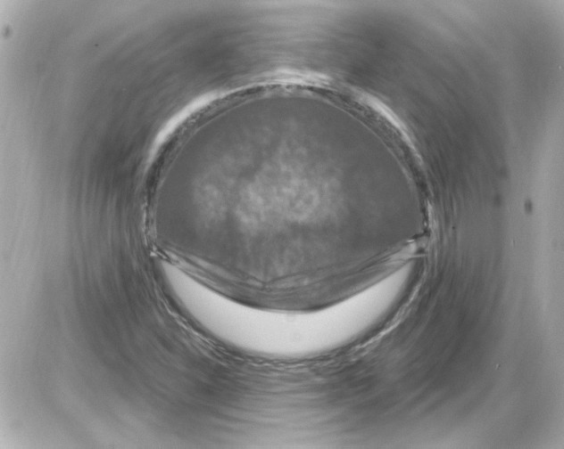X0000085321310200704092338