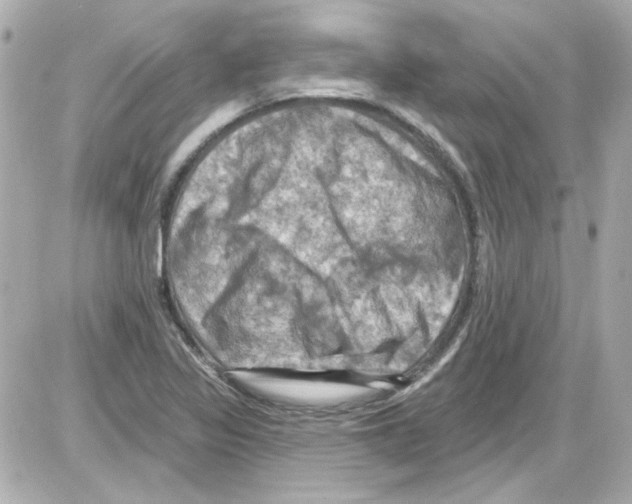 X0000085321317200704092338