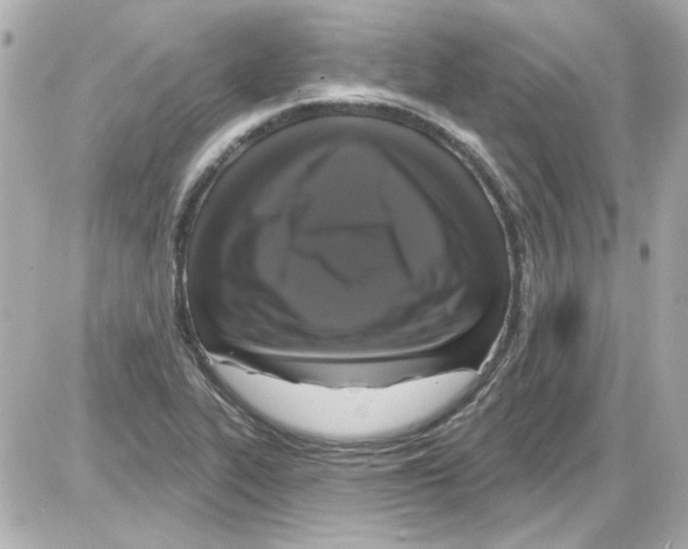X0000085321319200704092339