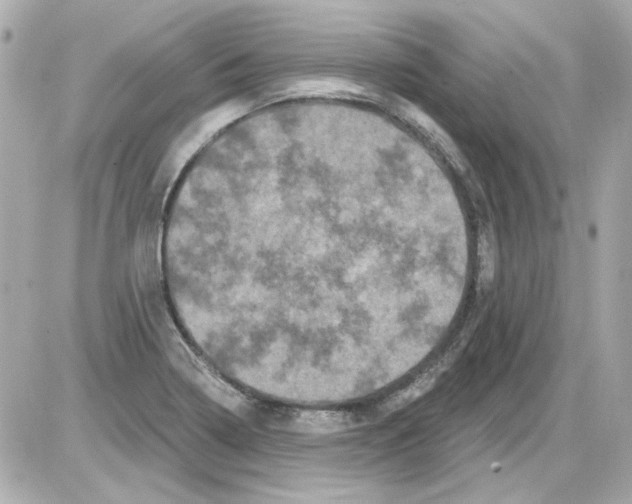 X0000085321322200704092339