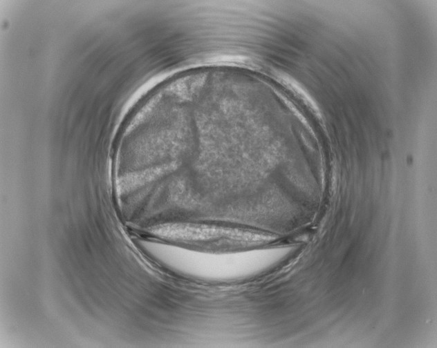 X0000085321324200704092339