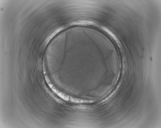 X0000085321329200704092339