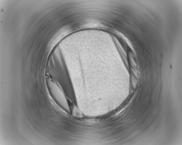 X0000085321330200704092339