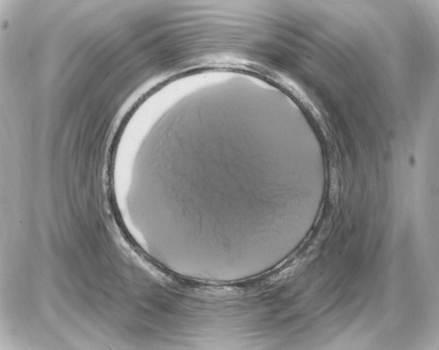 X0000085321331200704092339