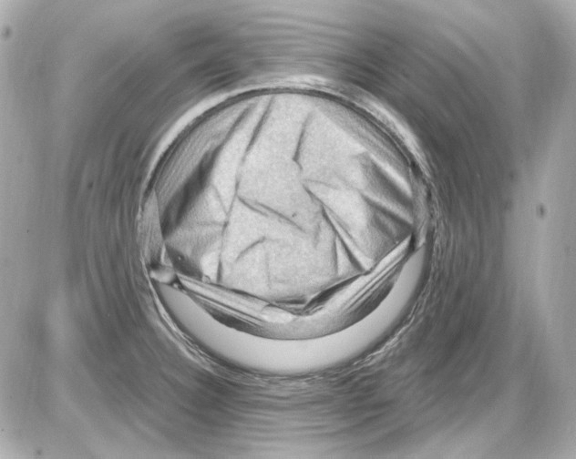 X0000085321332200704092339