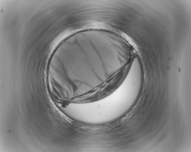 X0000085321334200704092339