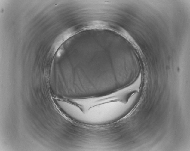 X0000085321337200704092339