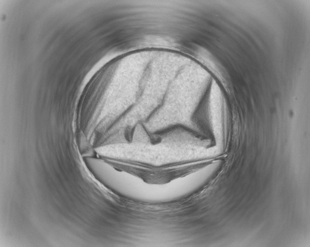 X0000085321339200704092339