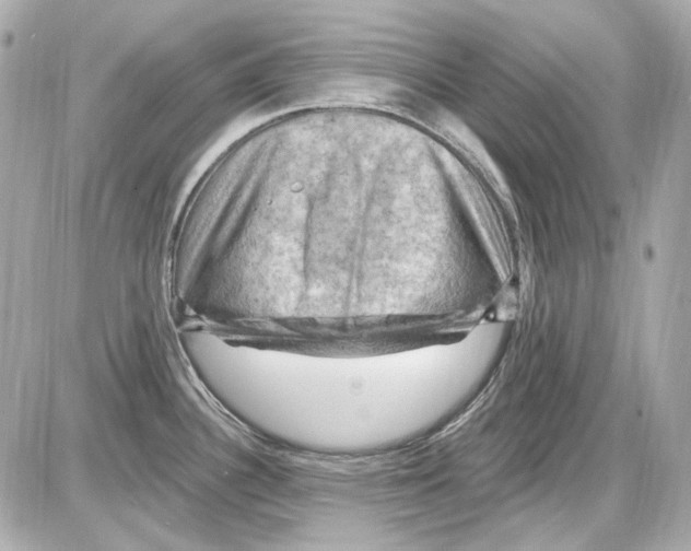 X0000085321340200704092339
