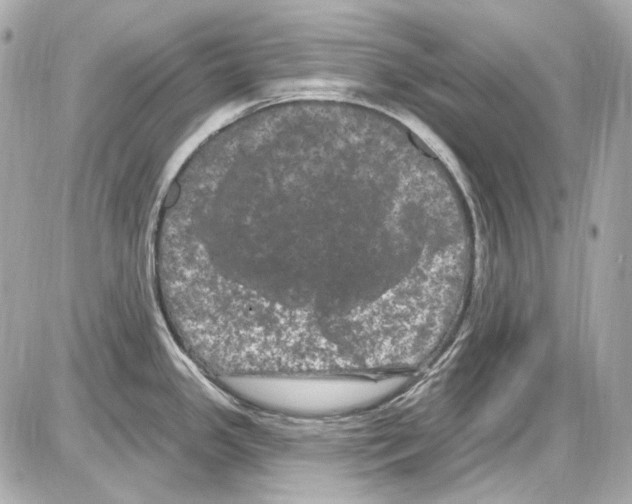 X0000085321341200704092339