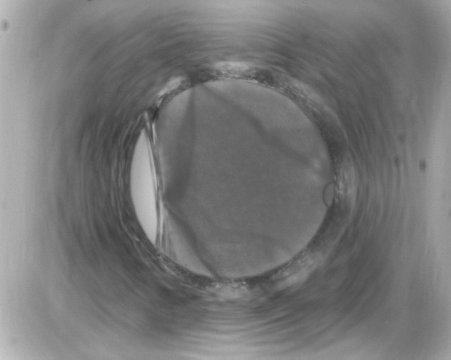 X0000085321346200704092338