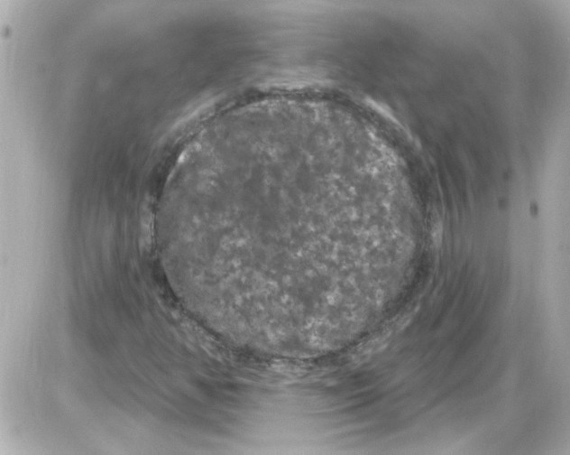 X0000085321350200704092338
