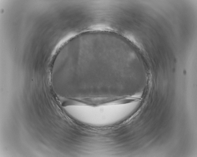 X0000085321358200704092338
