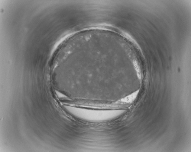 X0000085321360200704092338