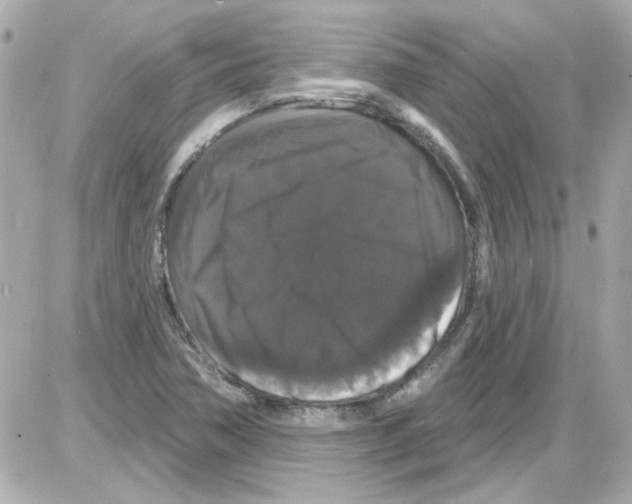 X0000085321362200704092338