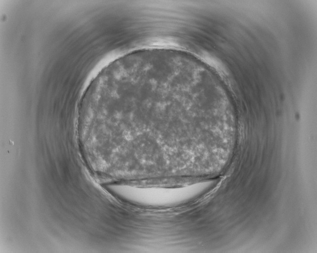 X0000085321374200704092338