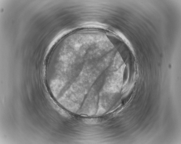 X0000085321376200704092338