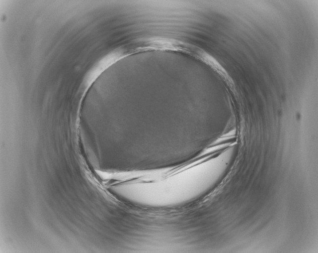 X0000085321378200704092338